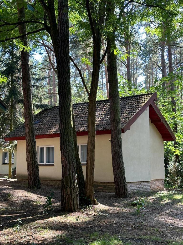 Summer House Lubniewice Buitenkant foto